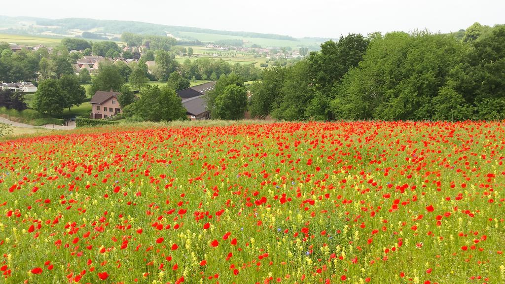Holiday home Belle - Mooi Zuid Limburg