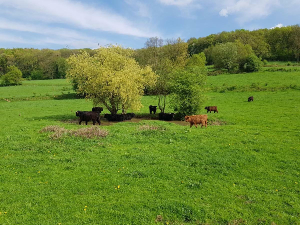 Belle - Mooi Zuid Limburg Holiday home *